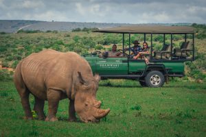 South Africa Eastern Cape Shamwari Private Game Reserve Riverdene (10)