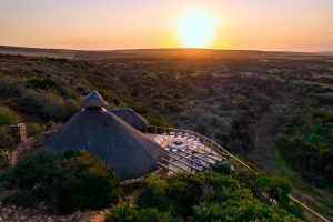 South Africa Eastern Cape Shamwari Private Game Reserve Riverdene (63)