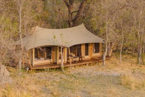 Botswana Okavango Delta ChaChaMetsi (22)