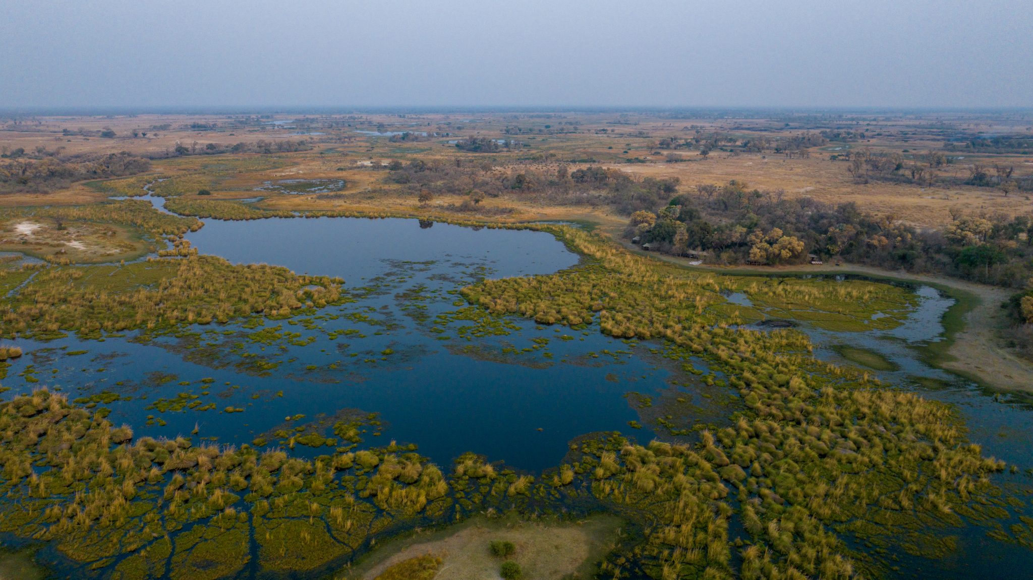 Botswana Okavango Delta ChaChaMetsi (80)
