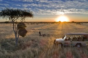 Namibia Etosha Safari House 16