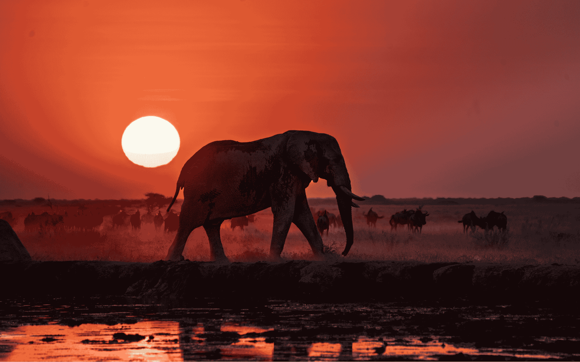 Botswana 2