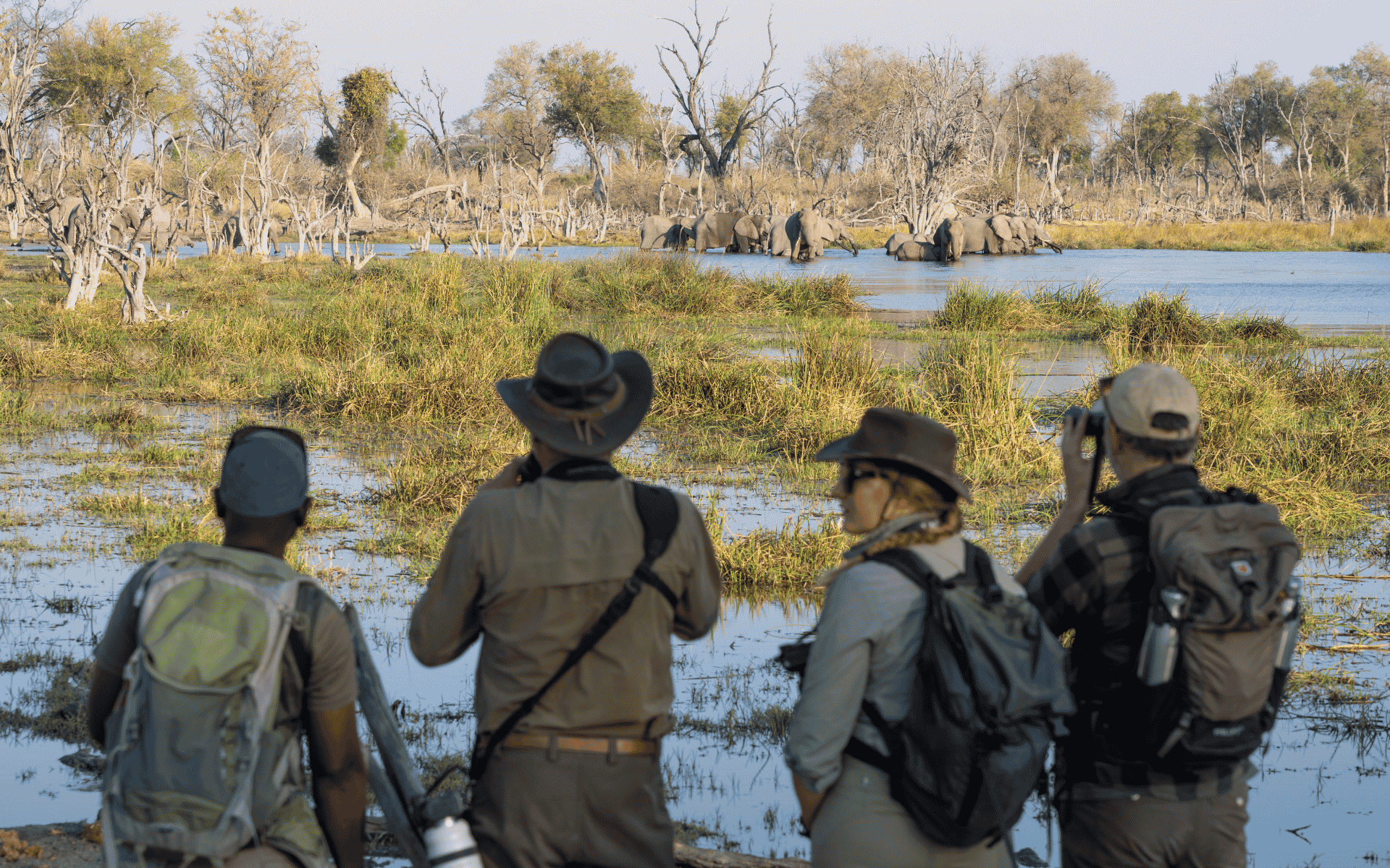Okavango Delta Walking