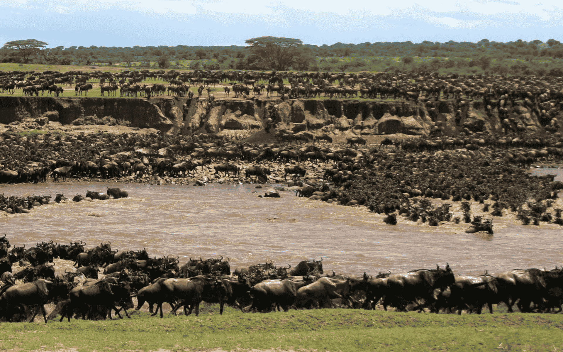 Tanzania 1