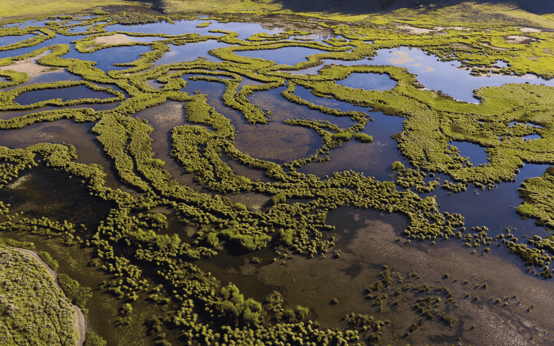 The Delta