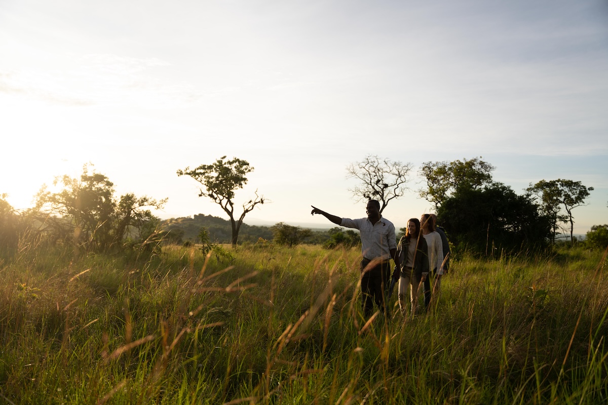 WAYO SERENGETI GREEN CAMP Copy of Green Camp Selects 292